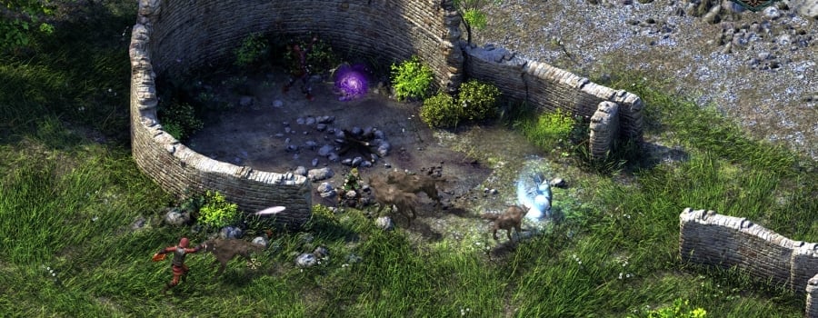 Pillars of eternity 2 зимний оплот щит